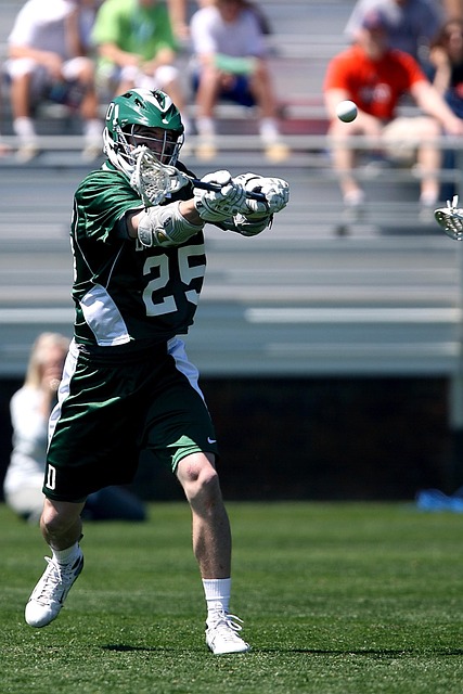 布拉希莫维 布拉希莫维