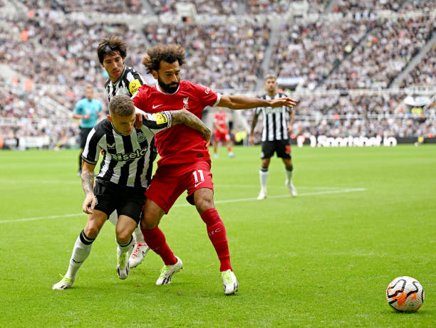 仅成为本场 仅成为本场